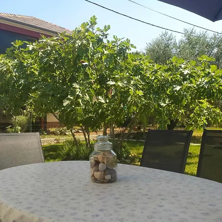 Summer Селине